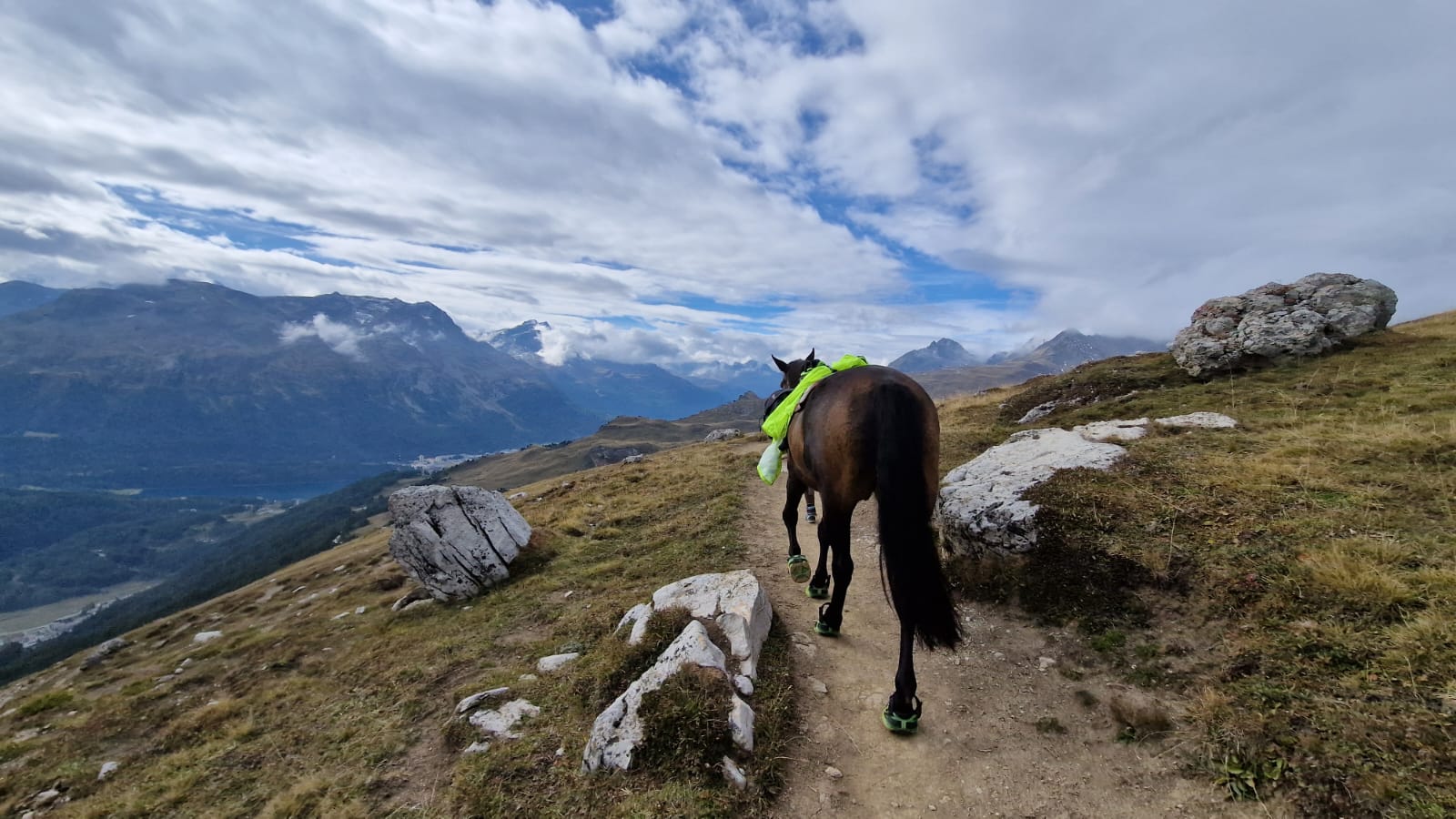 Swiss Galoppers Hufschuhe auf dem Berg