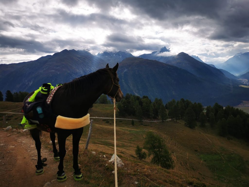 Swiss Galoppers Hufschuhe beim Wandern
