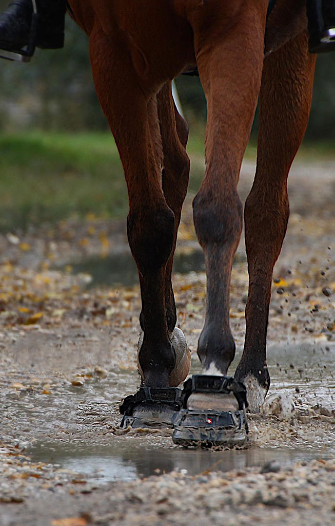 Swiss Galoppers Hufschuhe im Gelände