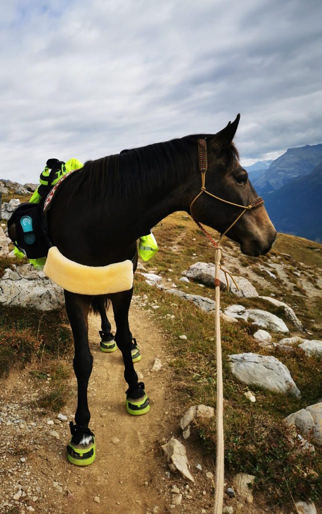 Swiss Galoppers Hufschuhe beim Wandern